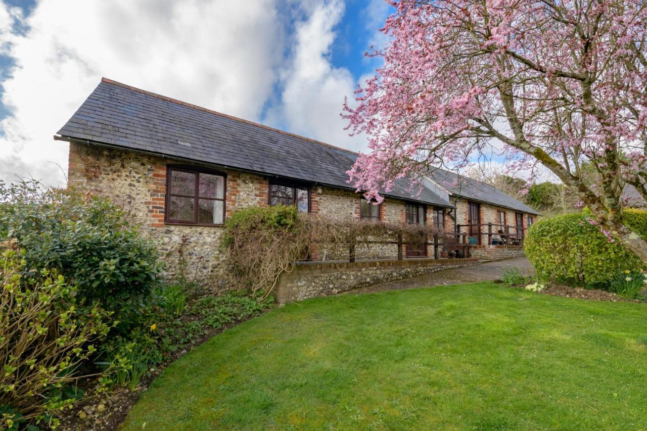 Luccombe Farm Holiday Cottages Milton Abbas Екстериор снимка
