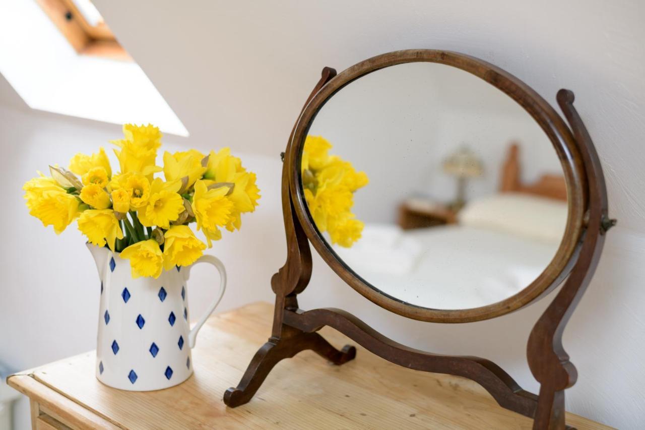 Luccombe Farm Holiday Cottages Milton Abbas Екстериор снимка