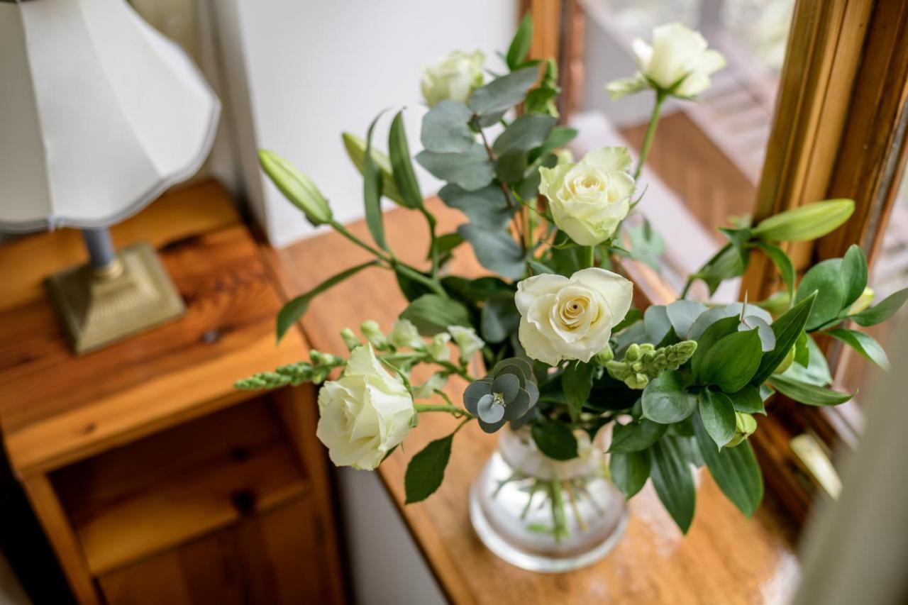 Luccombe Farm Holiday Cottages Milton Abbas Екстериор снимка