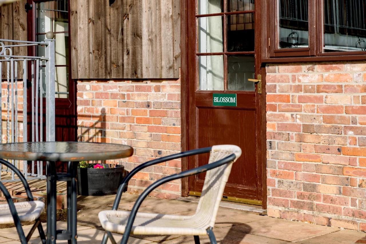 Luccombe Farm Holiday Cottages Milton Abbas Екстериор снимка