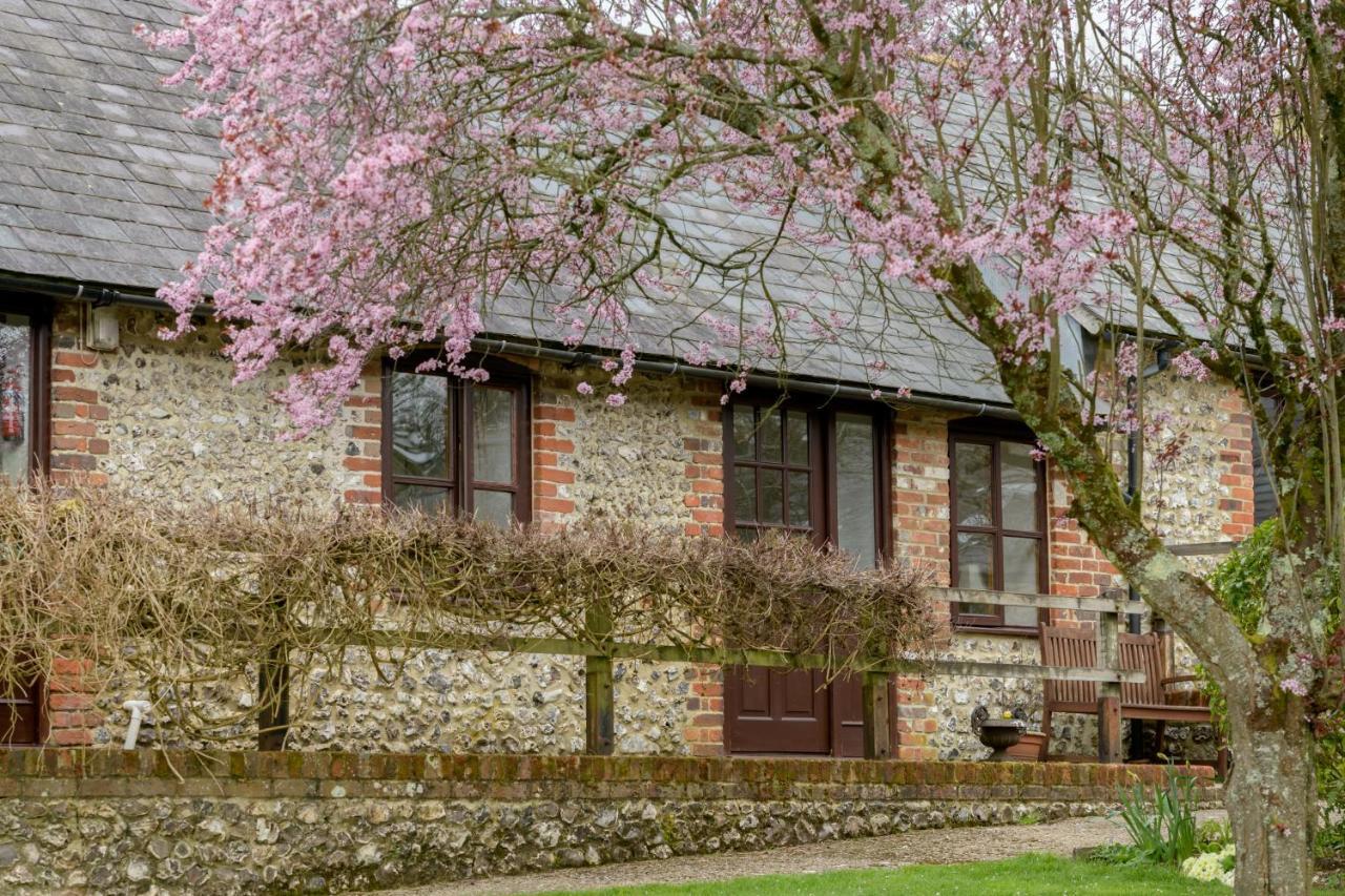 Luccombe Farm Holiday Cottages Milton Abbas Екстериор снимка