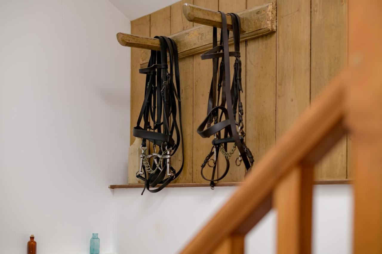 Luccombe Farm Holiday Cottages Milton Abbas Екстериор снимка