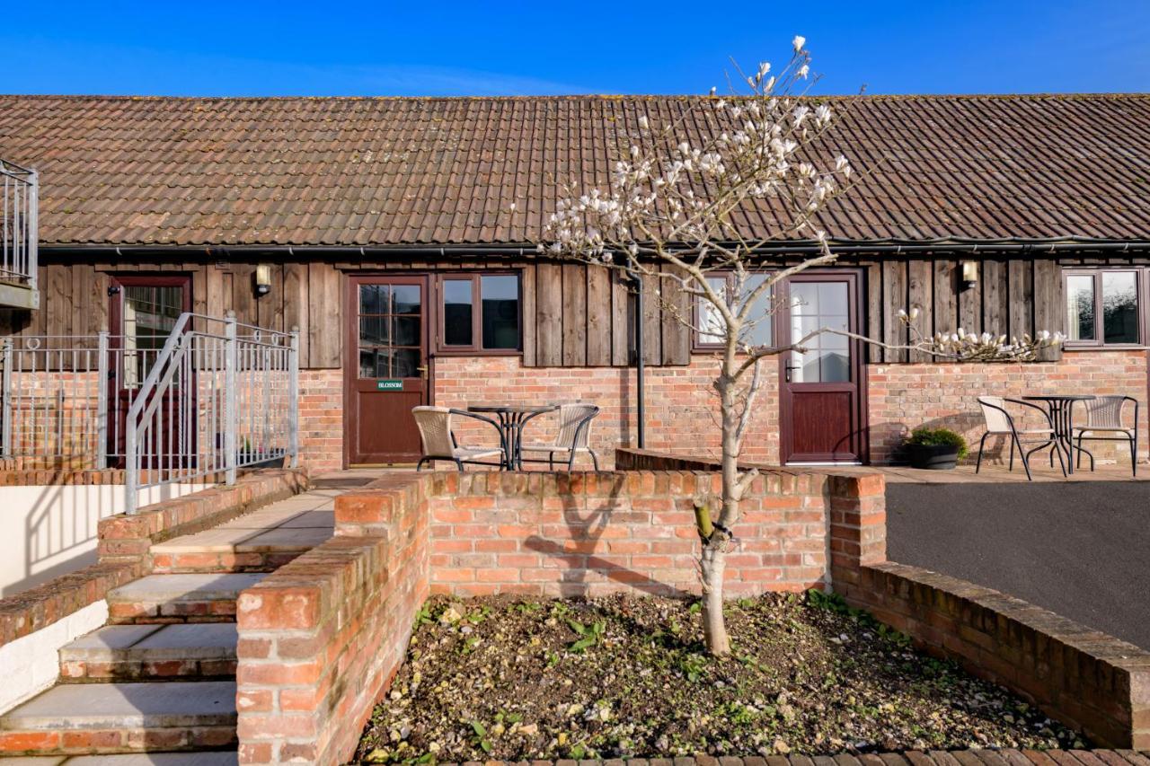 Luccombe Farm Holiday Cottages Milton Abbas Екстериор снимка