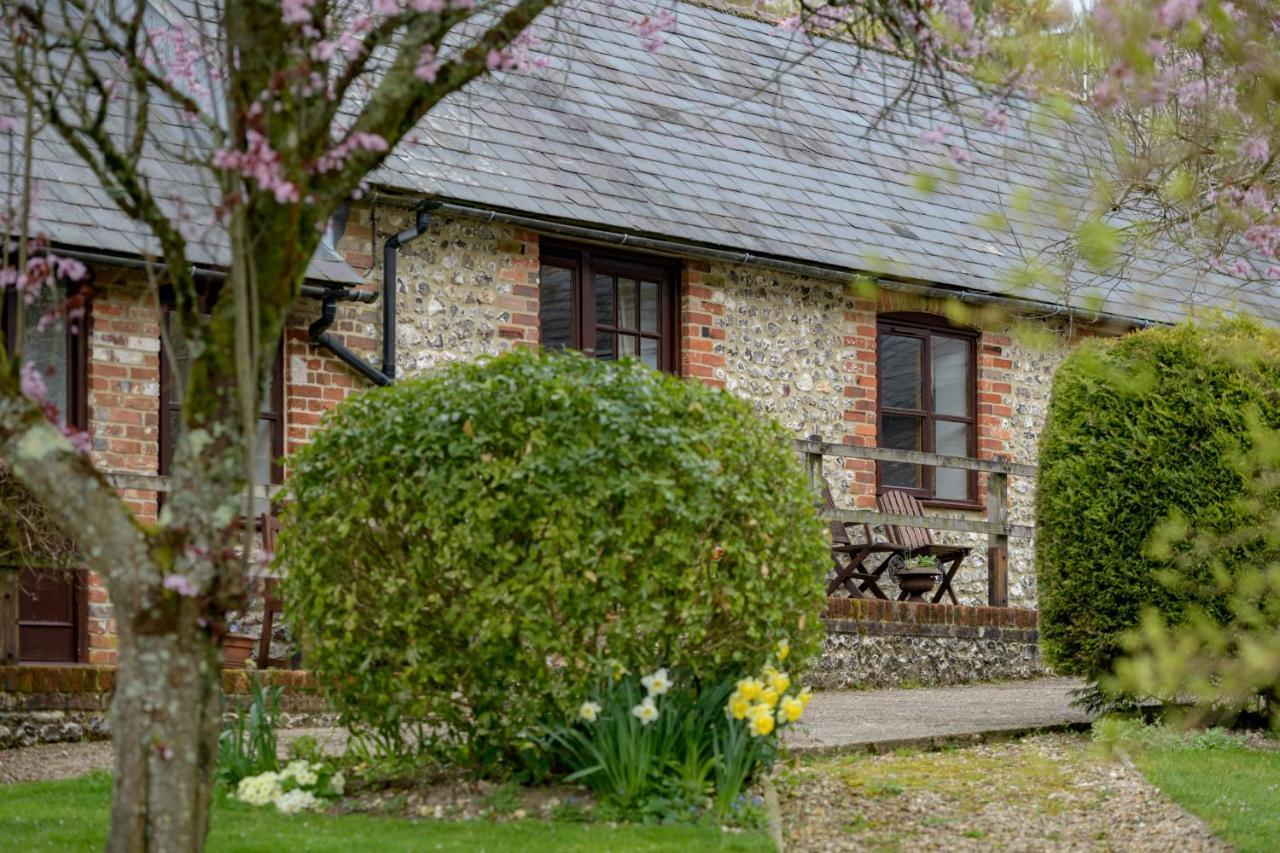 Luccombe Farm Holiday Cottages Milton Abbas Екстериор снимка