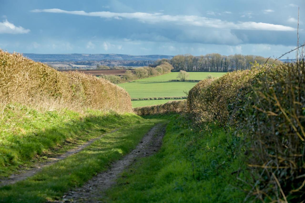 Luccombe Farm Holiday Cottages Milton Abbas Екстериор снимка