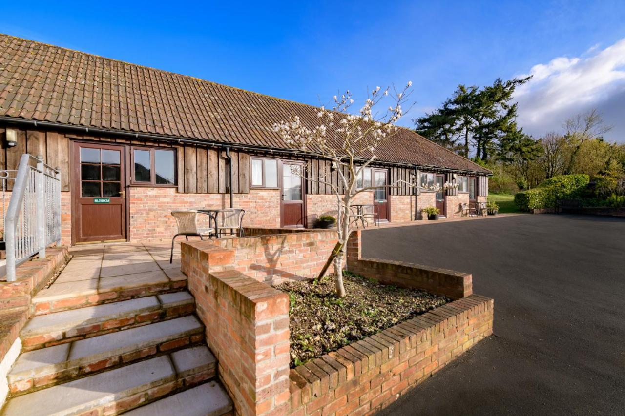 Luccombe Farm Holiday Cottages Milton Abbas Екстериор снимка